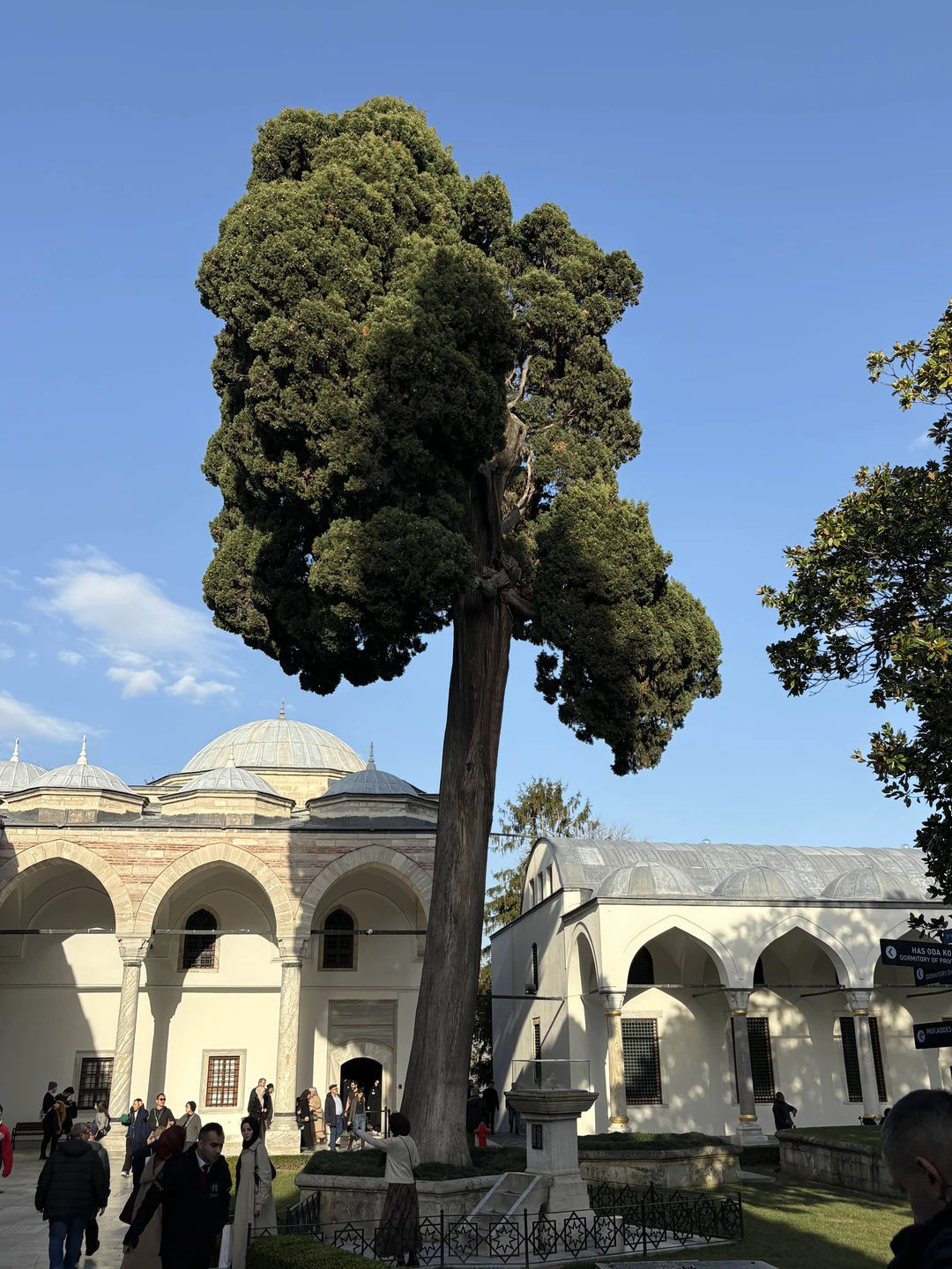Очень понравилась экскурсия с Джесимом. Располагает к себе, хорошо говорит по русски и рассказывает много интересных, познавательных фактов