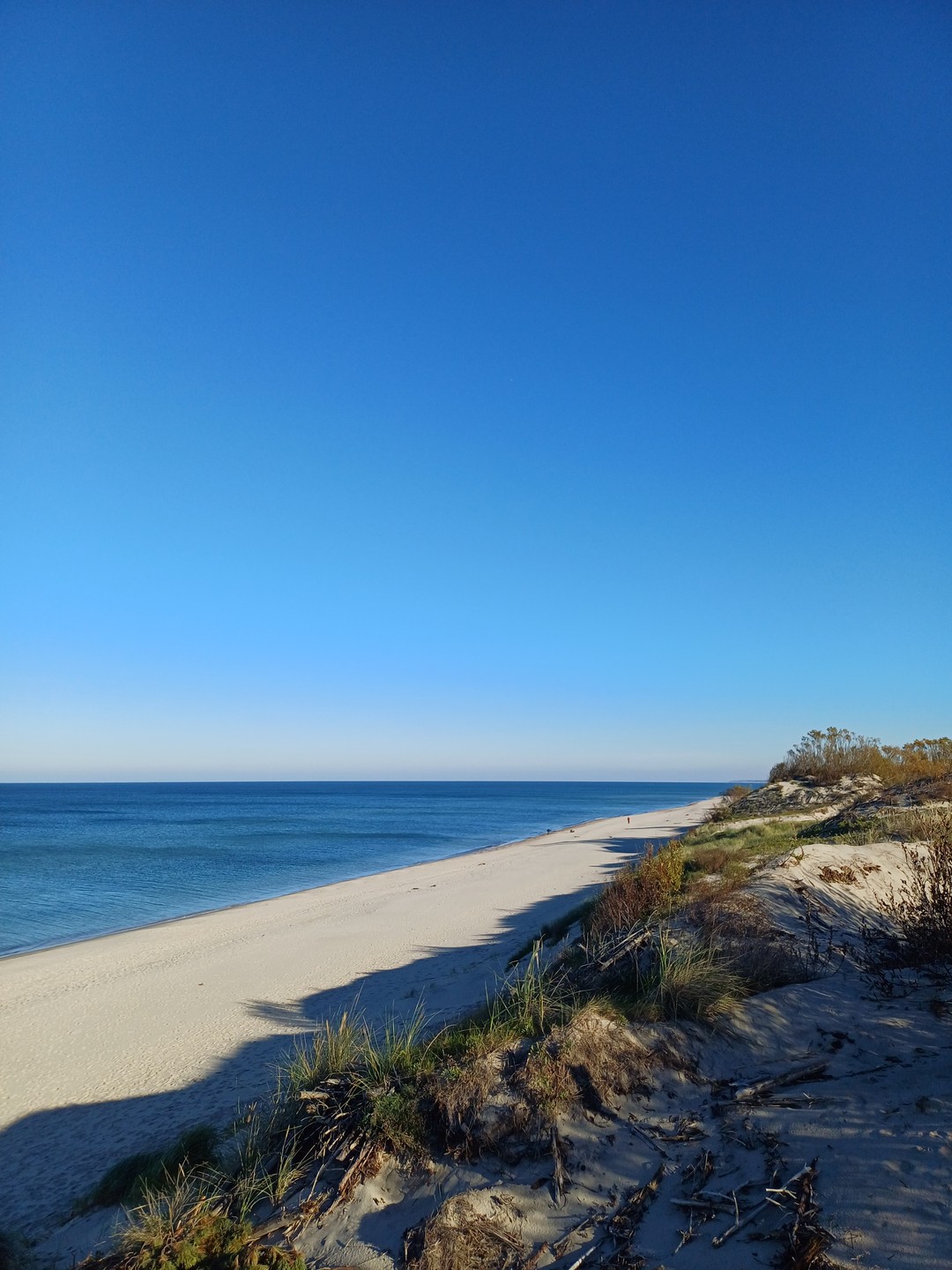 экскурсия прошла шикарно! вел Сергей, очень интересно послеловательно обо всем рассказал, давал время прогуляться и на