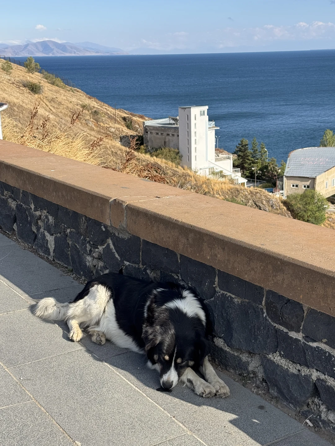 В огромном восторге от гида Ирины. Очень приятная девушка, которая с легкостью преподносила всю информацию