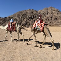 reviews img