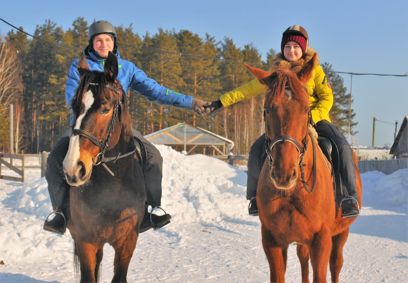Катание верхом или в санях на конеферме в 33 км от Екатеринбурга