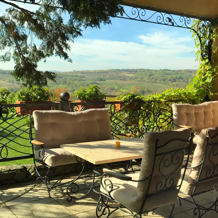 Воеводина: всё самое интересное за 1 день!