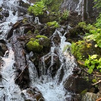 Фото отзыва 2: экскурсия "Абхазия с открытки — из Сочи и Адлера"