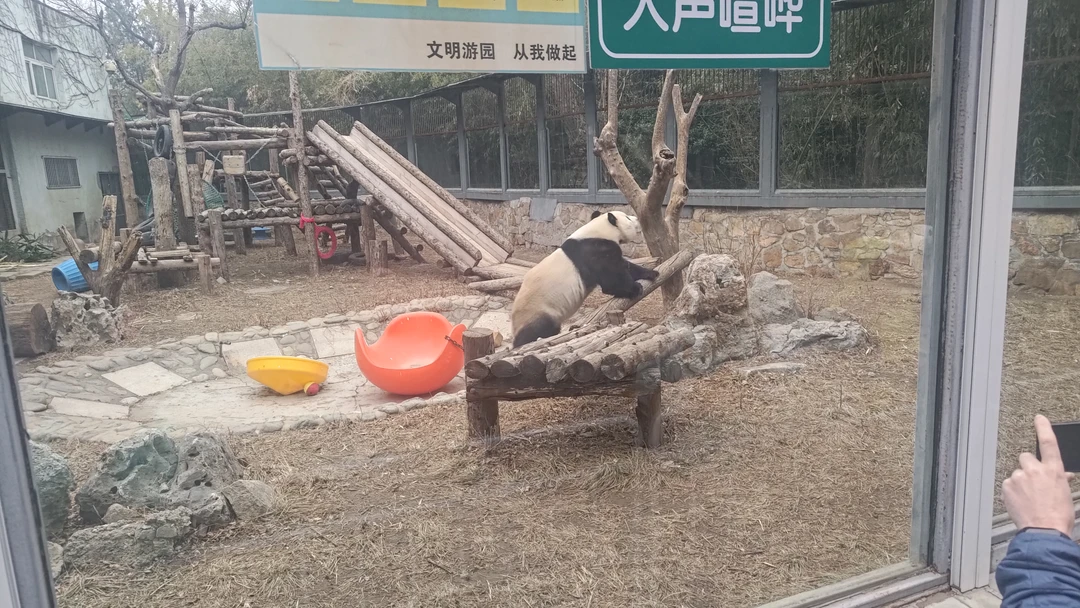 В день экскурсии началась метель, но более ли менее прояснилось когда доехали до стены. Гид Антон