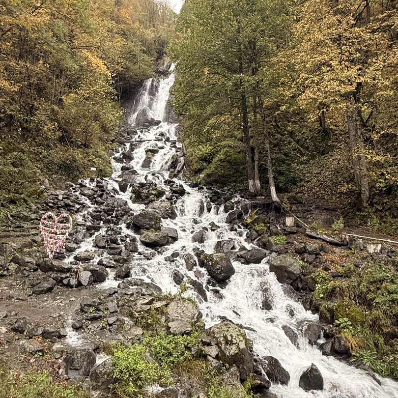 Индивидуальная экскурсия по солнечной Абхазии (Елена)