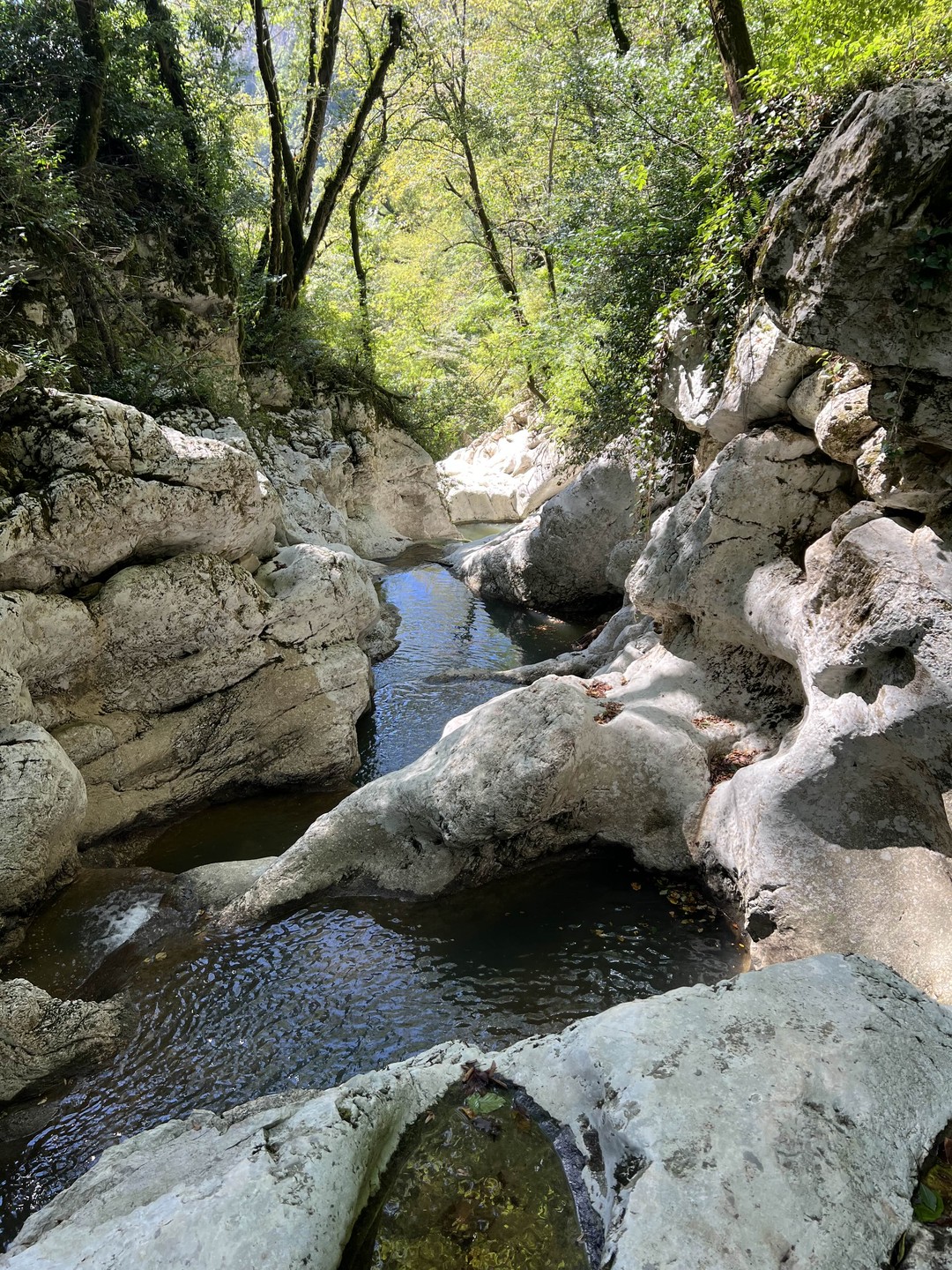 В горы! Поход к Орлиным скалам и Агурским водопадам (Наталья)