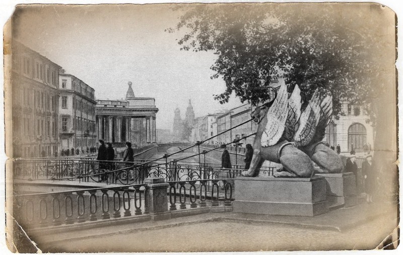 Виды Фантастические твари и где они обитают в Санкт-Петербурге