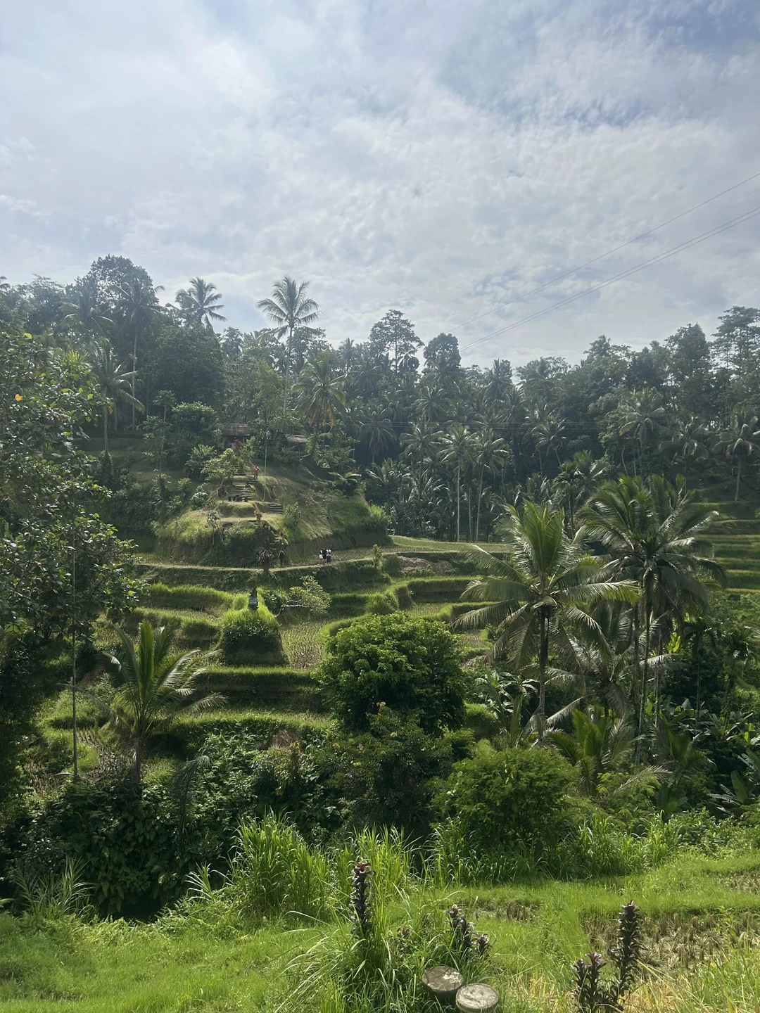 Экскурсия понравилась, отдельное спасибо гиду Ваяну. Везде сопровождал, всё рассказывал и показывал) Остались только положительные эмоции
