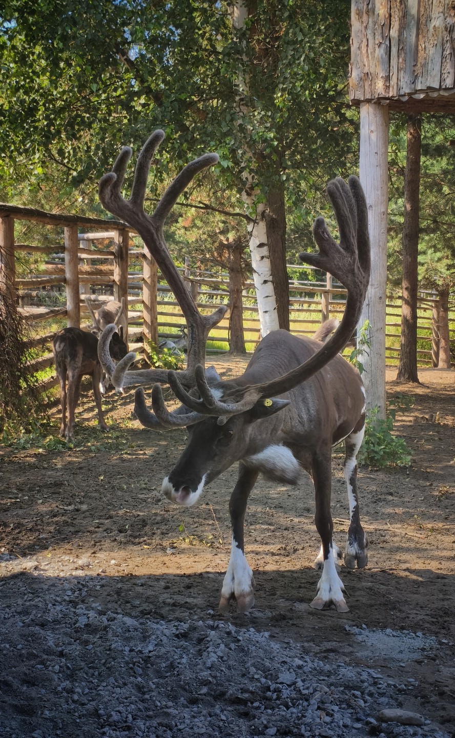Поездка была 28.07.25 - долго переваривала. Но теперь могу сказать с полной уверенностью, что это было