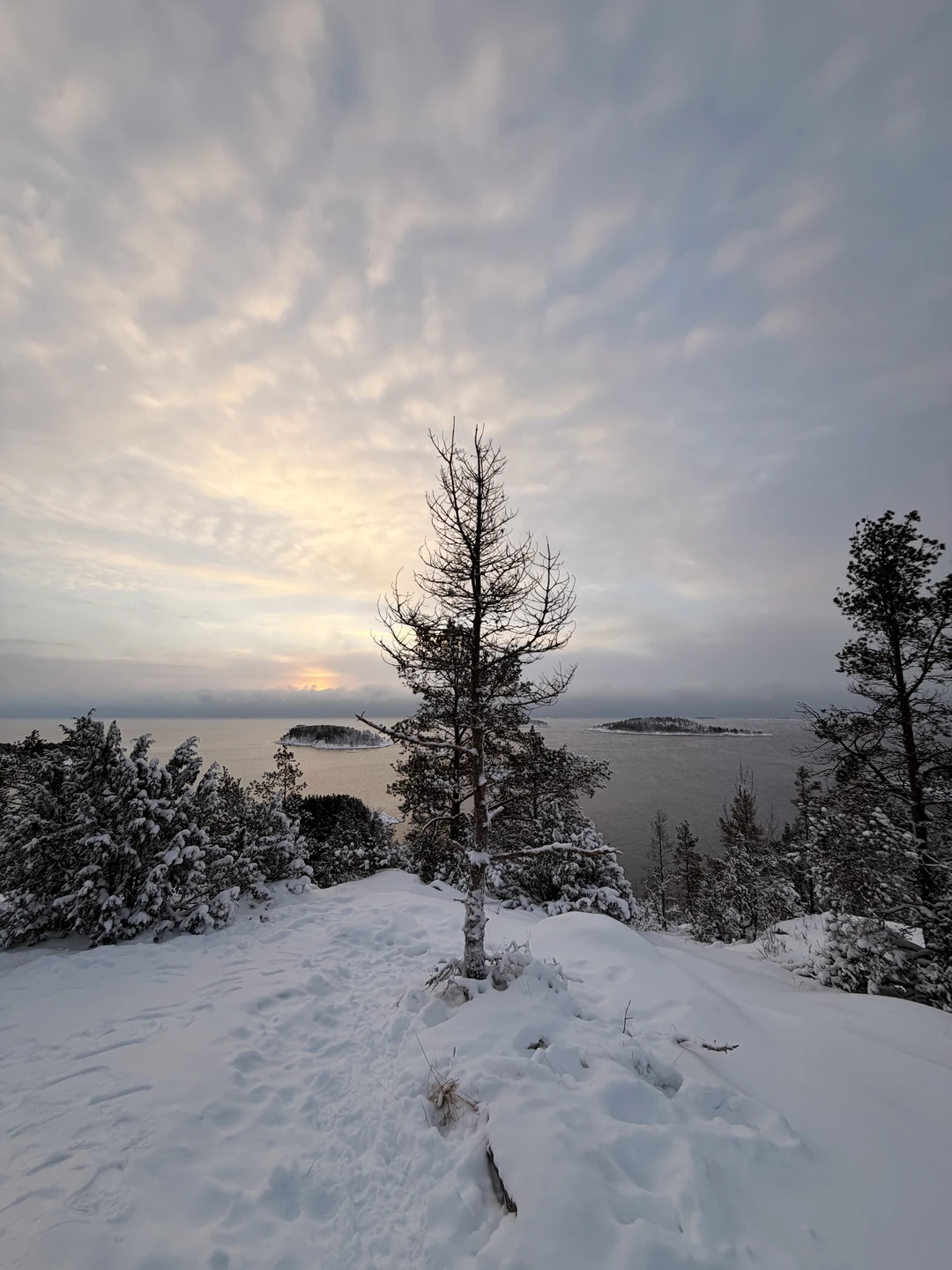 Понимаю насколько важны отзывы при выборе экскурсии, так вот: посетили экскурсию с семьей 04.01.26, после внесения