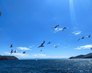 Фото отзыва 1: авторский тур "Ольхон: мысы, озёра и цветущие берега"