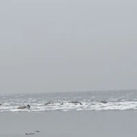 Фото отзыва 2: экскурсия "Флоатинг и айс-флоатинг по-сахалински — морская терапия для души и тела"