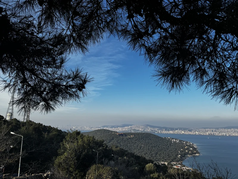 Отличный формат экскурсии для знакомства с островом Бююкада. На нем нельзя передвигаться на обычных автомобилях. Только