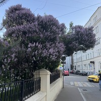 Фото отзыва 3: экскурсия "Доходные дома: уют и роскошь столицы"