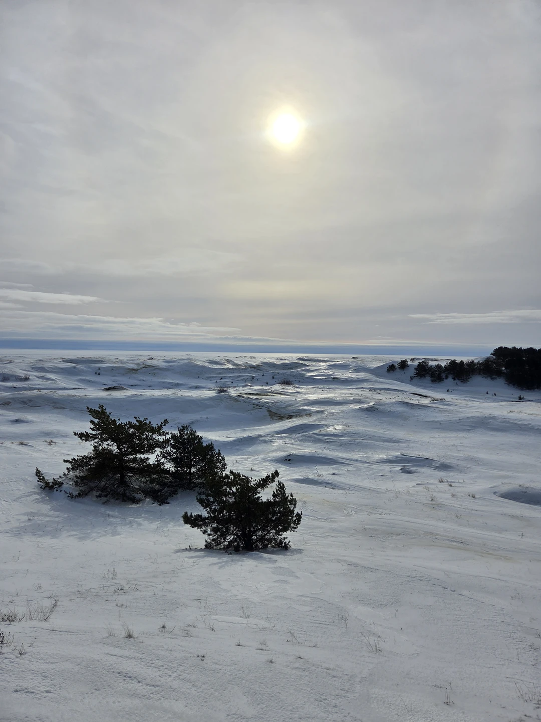 Экскурсия ооочень понравилась, все было замечательно, и с погодой повезло)