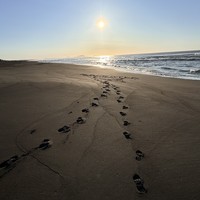 Фото отзыва 1: экскурсия "Россия — страна восходящего солнца"
