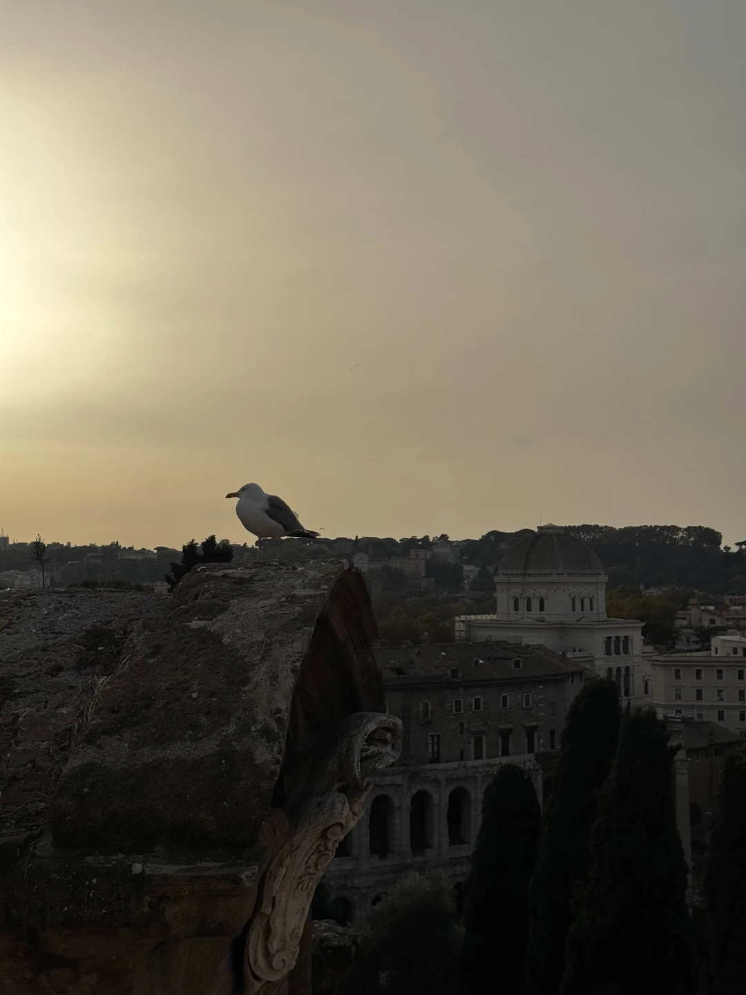 Экскурсия 100/10. Маргарита очень интересная, эрудированная девушка. Время буквально пролетело. Мы узнали для себя много интересного