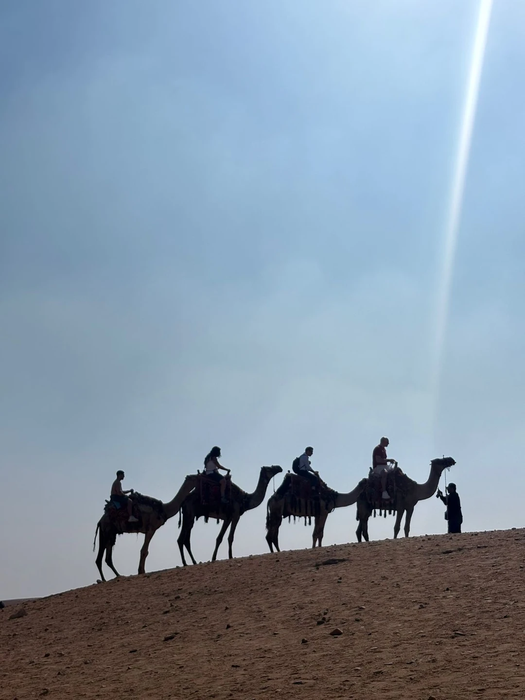 Экскурсия нам понравилась, гид был квалифицированным и доброжелательным и водитель тоже. Спасибо!