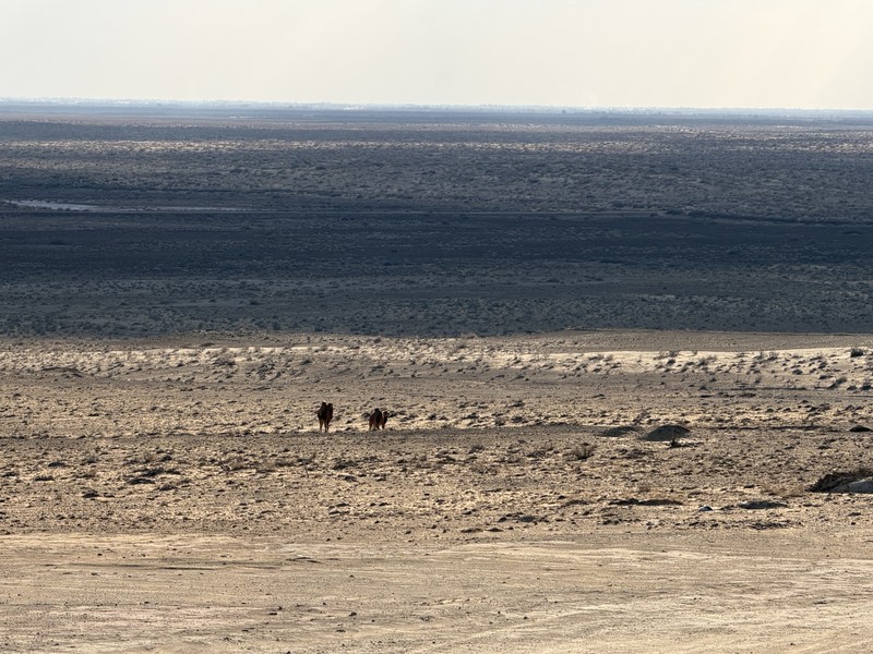 Спасибо огромное! в восторге от экскурсии и я, и сестра, и мама. Дадахон эрудированный, грамотный профессионал