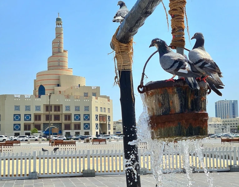 Сокровища Дохи: 2,5 часа от традиций до будущего