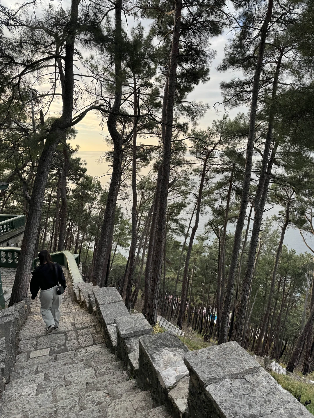 Вчера были на экскурсии с гидом Славиком, все очень понравилось! Интересные рассказы об истории Абхазии, невероятная