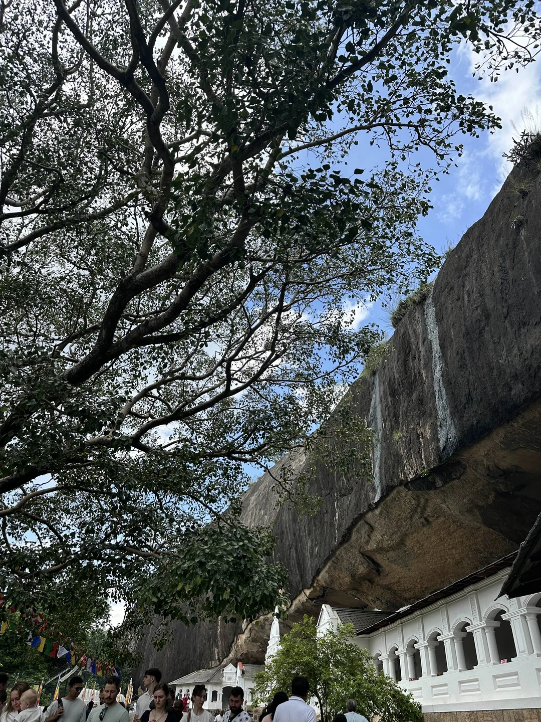 Очень понравилось однодневное путешествие в слоновый питомник + Дамбуллу + Сигирию. Мы ездили из Унавантуны. Не