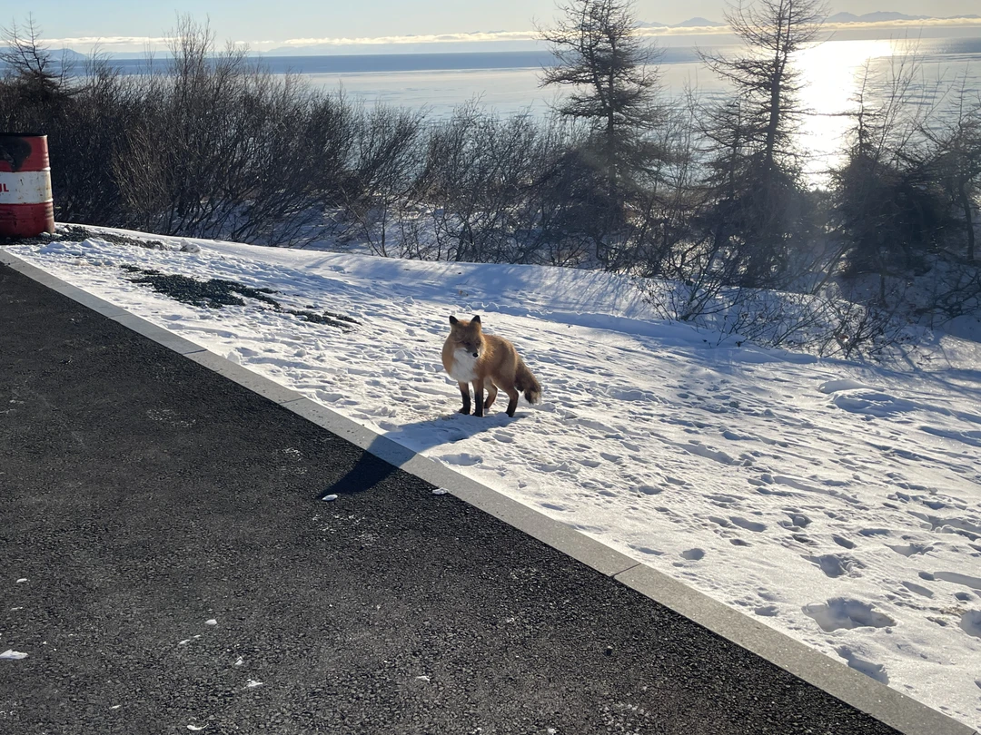 Путешествие по побережью Охотского моря на авто (Евгения)