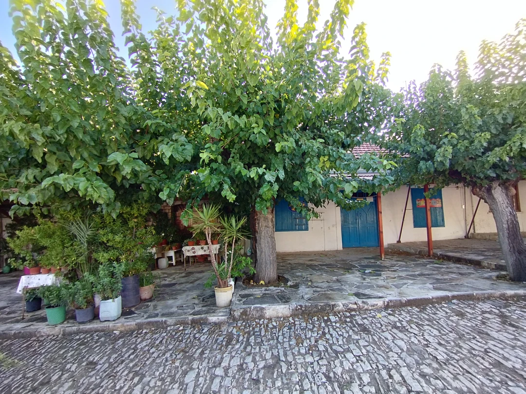 Экскурсия очень познавательная,как в рамках основной темы,так и по истории,культуре,традициям,кухне и современности Кипра.