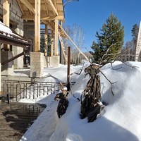 Фото отзыва 3: экскурсия "Автопутешествие к Белокурихе-2"