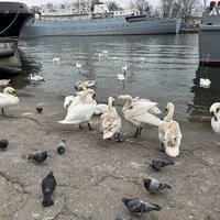 Фото отзыва 6: экскурсия "Янтарный путь: Балтийск, Арт-Деревня Витланд, Янтарный и Светлогорск"