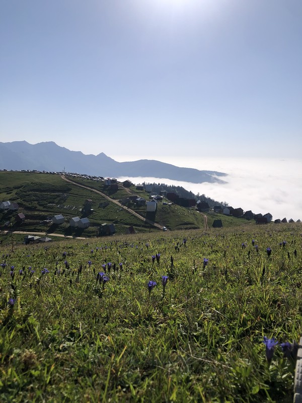 На вершине облаков: путешествие из Батуми в Гомис Мта (всё включено)