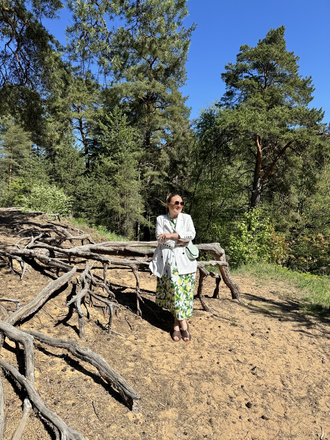 Уютный дачный Сестрорецк (Светлана)