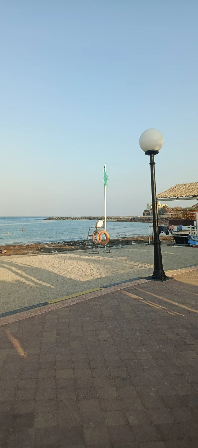 Все прошло идеально. Александр большое Вам спасибо за содержательный рассказ во время всего нашего путешествия по эмиратам