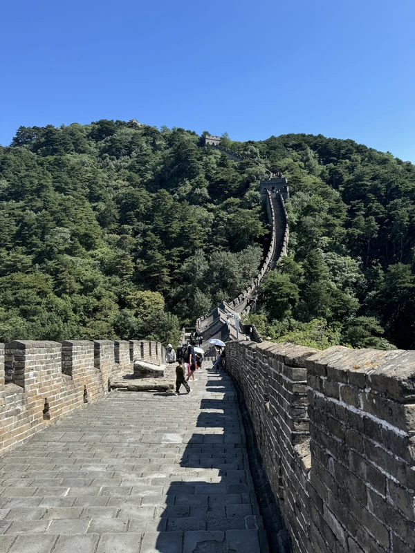 Великая китайская стена и чайная церемония (в Пекине)