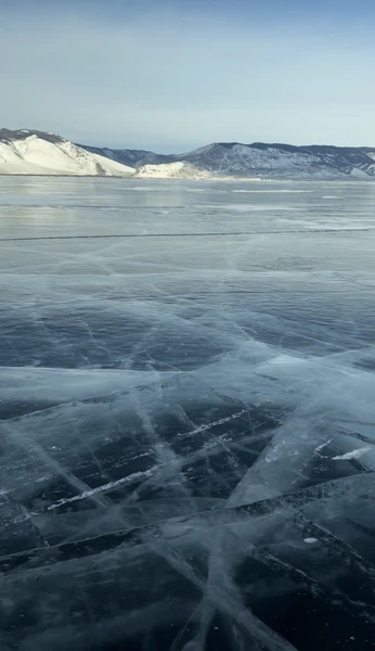 Хотим выразить огромную благодарность за экскурсию, проведенную гидом Данилой 15 февраля 2026 года