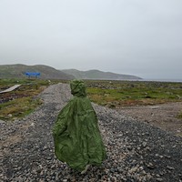 Фото отзыва 2: экскурсия "Териберка за 1 день: посёлок, китовое сафари и дегустация морепродуктов"
