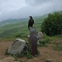 reviews img