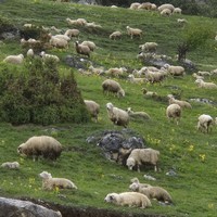 Фото отзыва 1: экскурсия "Кавказский микс: Кабардино-Балкария, Северная Осетия и Ингушетия"