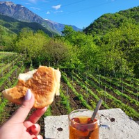 Фото отзыва 1: экскурсия "Экскурсия из Сочи в Абхазию: пять звёзд"