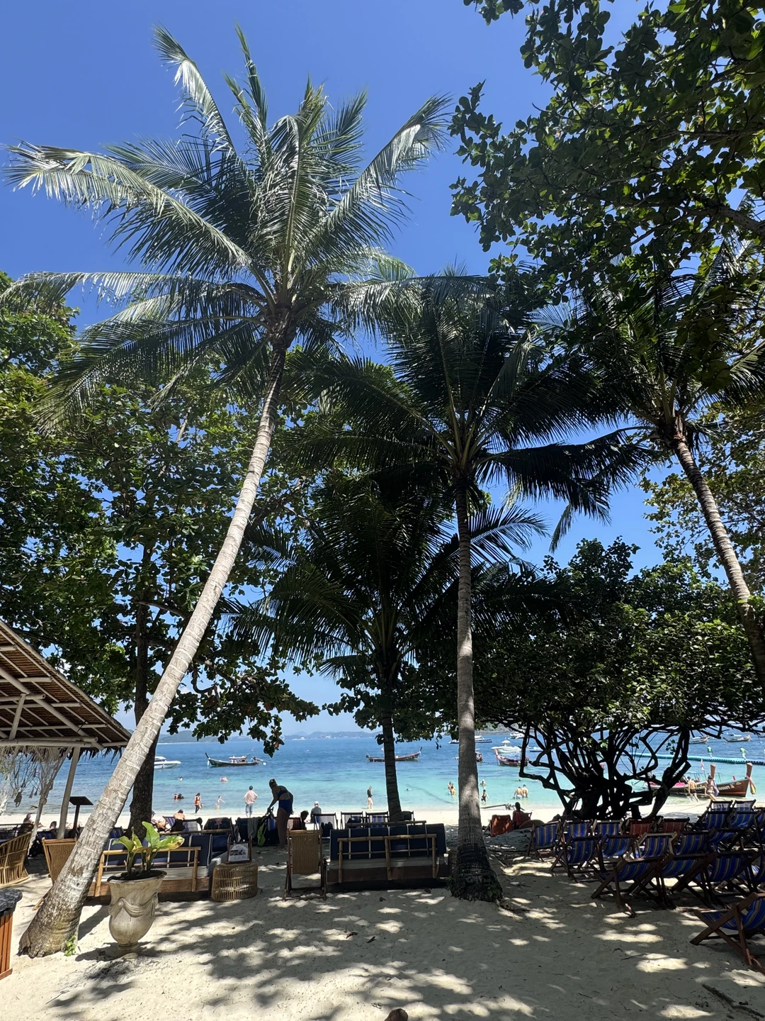 Ваше идеальное утро начинается… трансфер от отеля доставил нас на пирс (по возвращению в отель), откуда