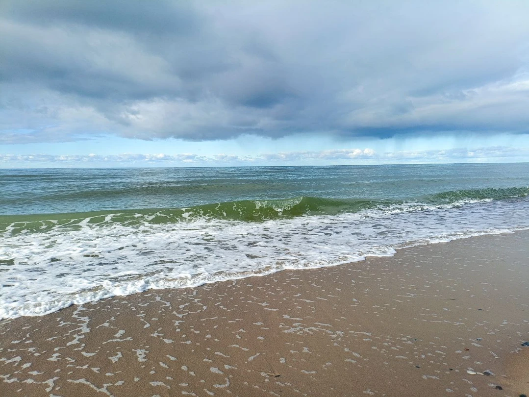 Куршская коса из Зеленоградска (Надежда)