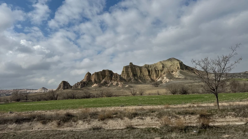 Мероприятие прошло успешно, очень довольны