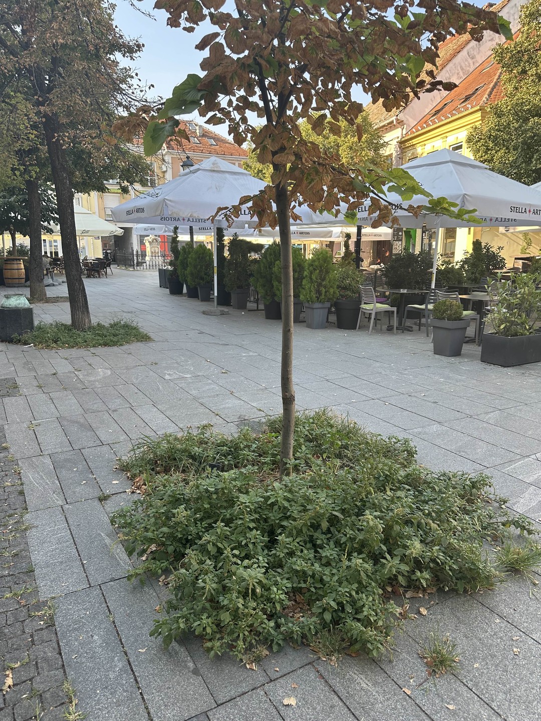 Земун вдоль и поперёк (Гульнара)