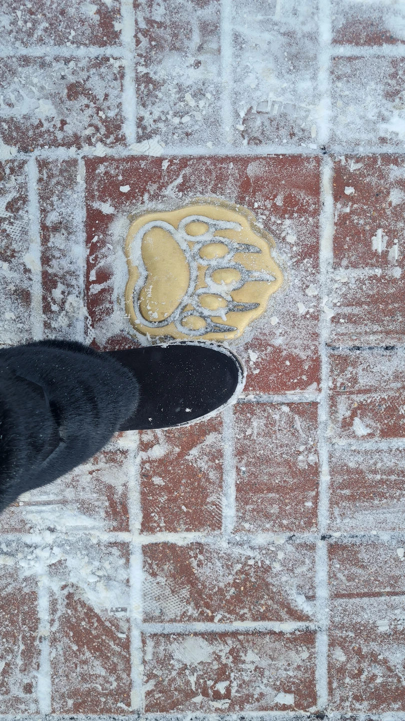 Ярославль пешком (Ольга)