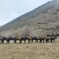 Фото отзыва 5: экскурсия ""