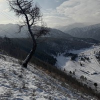 Фото отзыва 1: экскурсия "Долина Катуни — в гости к госпоже Горного Алтая"