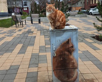 Балтийские курорты