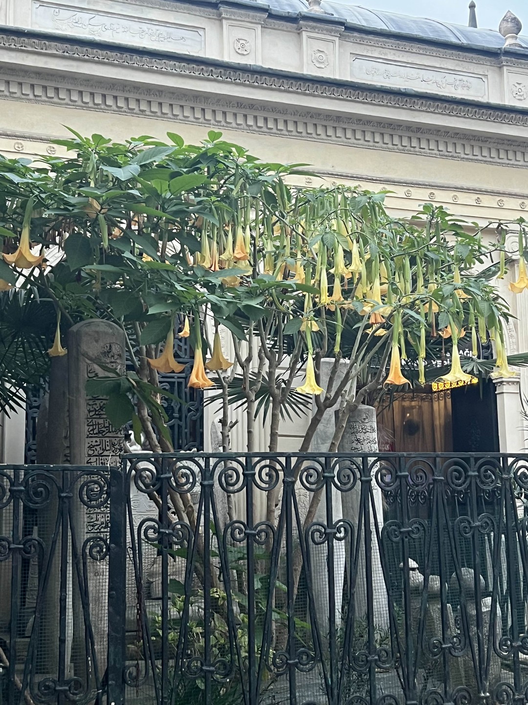 Мне очень понравилась наша с Татьяной прогулка по Ускюдару. Я узнала много интересных исторических фактов про