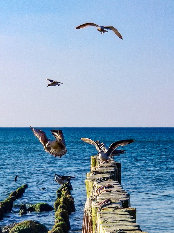 Первый раз в Калининград: истории знаковых мест и редко посещаемых локаций