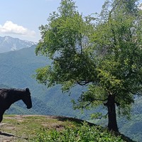 Фото отзыва 3: экскурсия "Горная страна Архыз. Групповое путешествие из Кисловодска"